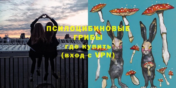 ECSTASY Алексин