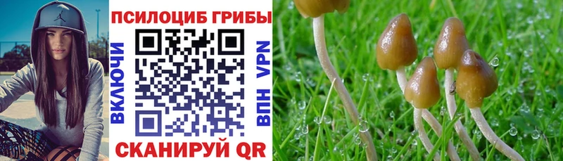 Псилоцибиновые грибы Magic Shrooms  цена   Анадырь 